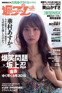 新女婿时代